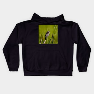 Female Red Wing Blackbird Perched on a Reed Kids Hoodie